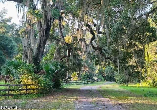 Photo 3 of Land for sale at 6301 E County Rd 316, Citra, FL 32113 | MLS# 226030645 | Listing updated on 2026-09-22