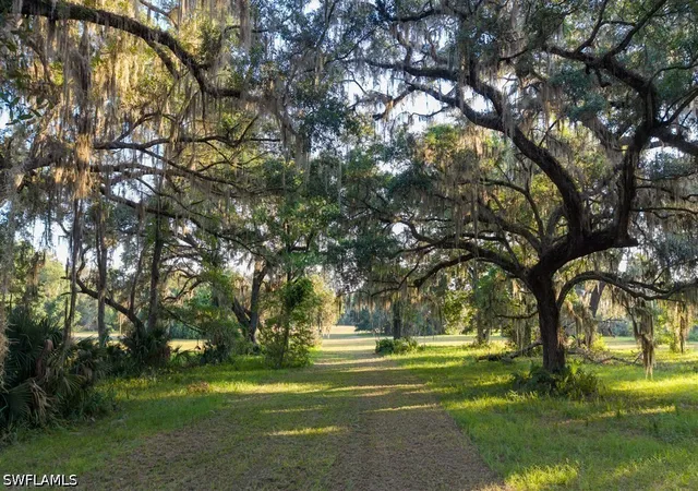 Photo 4 of Land for sale at 6301 E County Rd 316, Citra, FL 32113 | MLS# 226030645 | Listing updated on 2026-09-22