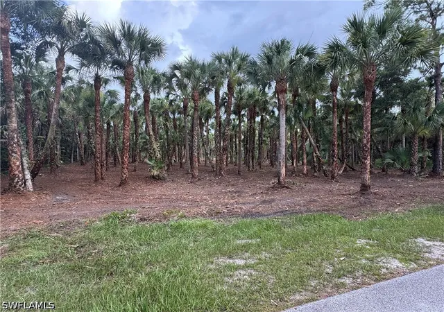 Photo 2 of Land for sale at 14th Avenue Nw, Naples, FL 34120 | MLS# 226031487 | Listing updated on 2026-09-03