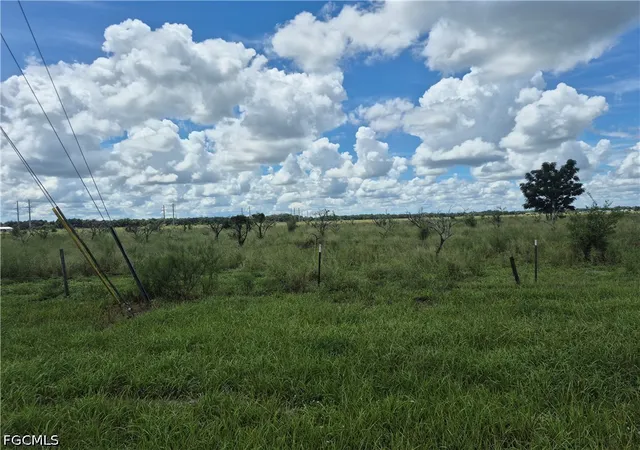Photo 19 of Single family home for sale at 23041 Roundtree Ave, Alva, FL 33920 | MLS# 2026037323 | Listing updated on 2026-10-06