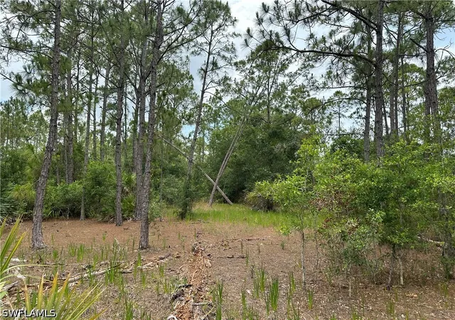 Photo 2 of Land for sale at 44th Street Ne, Naples, FL 34120 | MLS# 226031859 | Listing updated on 2026-09-16