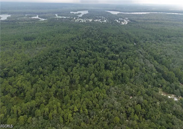 Photo 2 of Land for sale at 162 Carriage Place, Satsuma, FL 32189 | MLS# 2026037347 | Listing updated on 2026-09-17