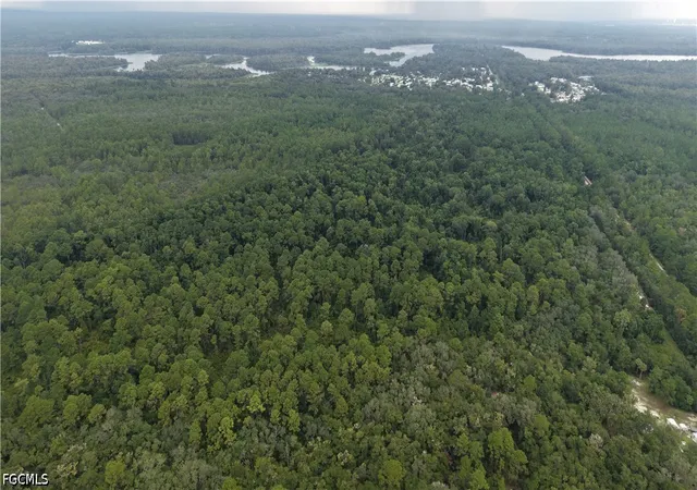 Photo 3 of Land for sale at 162 Carriage Place, Satsuma, FL 32189 | MLS# 2026037347 | Listing updated on 2026-09-17
