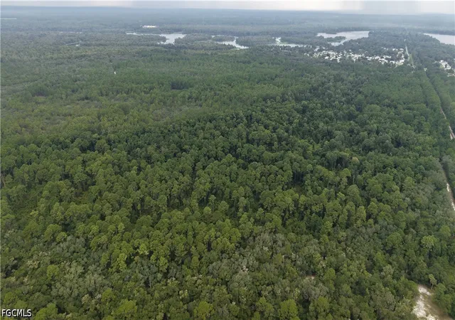 Photo 3 of Land for sale at 162 Carriage Place, Satsuma, FL 32189 | MLS# 2026037347 | Listing updated on 2026-09-17