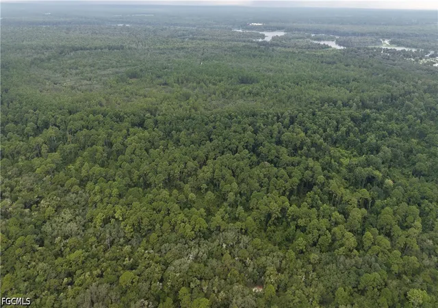 Photo 4 of Land for sale at 162 Carriage Place, Satsuma, FL 32189 | MLS# 2026037347 | Listing updated on 2026-09-17