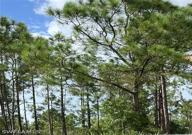 Photo 1 of Sale Pending at 70 Avenue Ne, Naples, FL 34120 | MLS# 226031964 | Listing updated on 2026-09-14