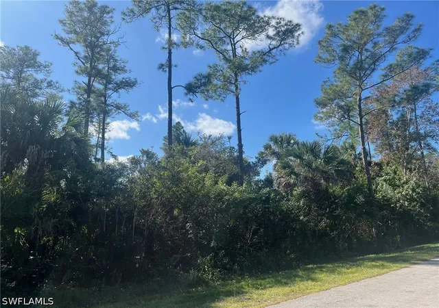 Photo 2 of Land for sale at 28th Avenue Se, Naples, FL 34117 | MLS# 226032011 | Listing updated on 2026-09-04