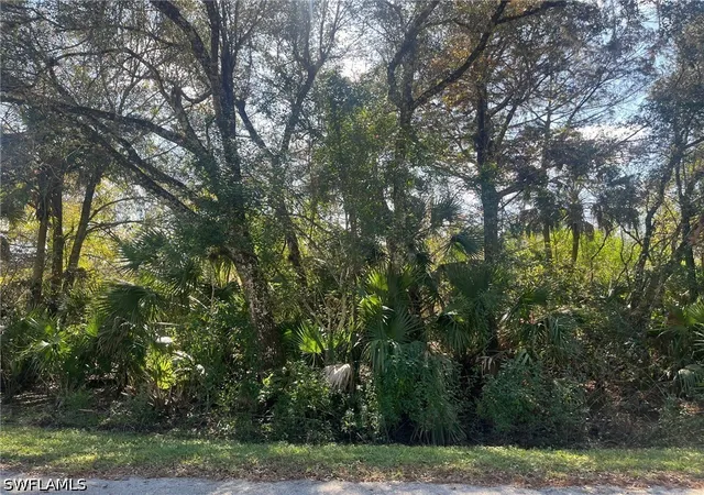 Photo 3 of Land for sale at 28th Avenue SE, Naples, FL 34117 | MLS# 226032011 | Listing updated on 2026-09-04