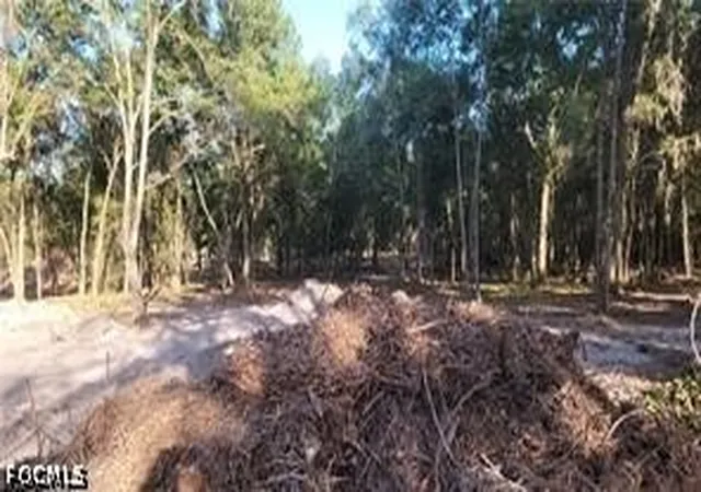 Photo 2 of Land for sale at Brightway, Deland, FL 32720 | MLS# 2026037776 | Listing updated on 2026-09-07