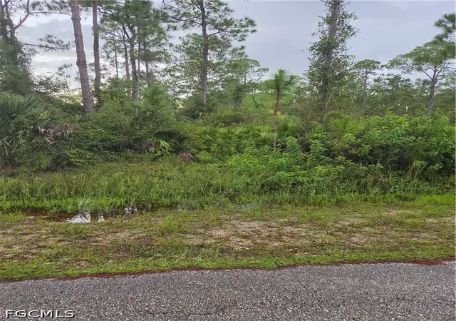 Photo 1 of Land for sale at 2303 Truman Ave, Alva, FL 33920 | MLS# 2026038488 | Listing updated on 2026-09-13