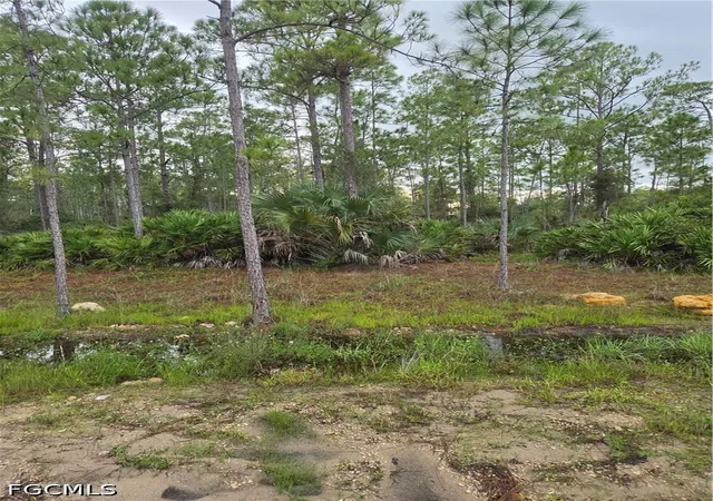 Land for sale at 2311 Truman Ave, Alva, FL 33920 | MLS# 2026038489