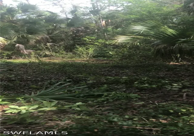 Photo 3 of Land for sale at 2780 66th Avenue Ne, Naples, FL 34120 | MLS# 226032947 | Listing updated on 2026-09-13