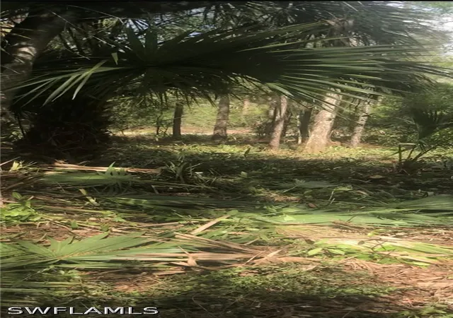 Photo 4 of Land for sale at 2780 66th Avenue NE, Naples, FL 34120 | MLS# 226032947 | Listing updated on 2026-09-13