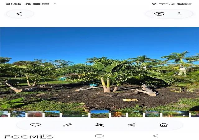 Photo 3 of Land for sale at 7349 Pomegranate Dr E, Bokeelia, FL 33922 | MLS# 2026038628 | Listing updated on 2026-09-21