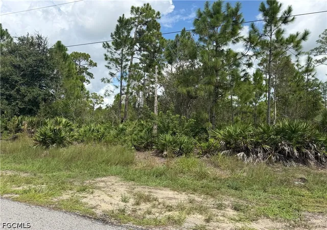 Photo 1 of Land for sale at 1012 Truman Ave, Lehigh Acres, FL 33972 | MLS# 2026039029 | Listing updated on 2026-09-16