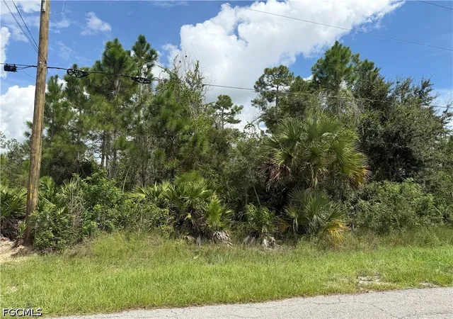 Photo 3 of Land for sale at 1012 Truman Ave, Lehigh Acres, FL 33972 | MLS# 2026039029 | Listing updated on 2026-09-16