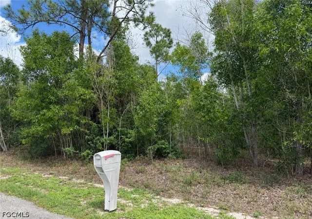 Photo 3 of Land for sale at 216 Scott Ave, Lehigh Acres, FL 33936 | MLS# 2026039030 | Listing updated on 2026-09-16