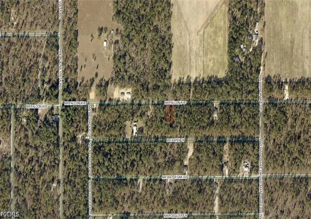 Photo 3 of Land for sale at 1814 022 016 Nw Falcon Ave, Dunnellon, FL 34431 | MLS# 2026039351 | Listing updated on 2026-09-18