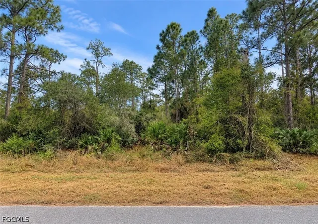 Photo 2 of Land for sale at 4404 E 21st Street, Alva, FL 33920 | MLS# 2026039383 | Listing updated on 2026-09-18