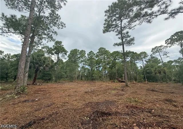 Photo 1 of Land for sale at 250 N Quebrada St, Clewiston, FL 33440 | MLS# 2026039579 | Listing updated on 2026-09-19