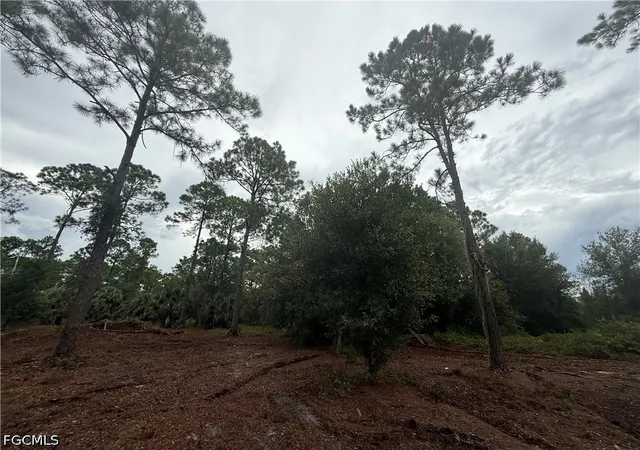 Photo 2 of Land for sale at 250 N Quebrada St, Clewiston, FL 33440 | MLS# 2026039579 | Listing updated on 2026-09-19