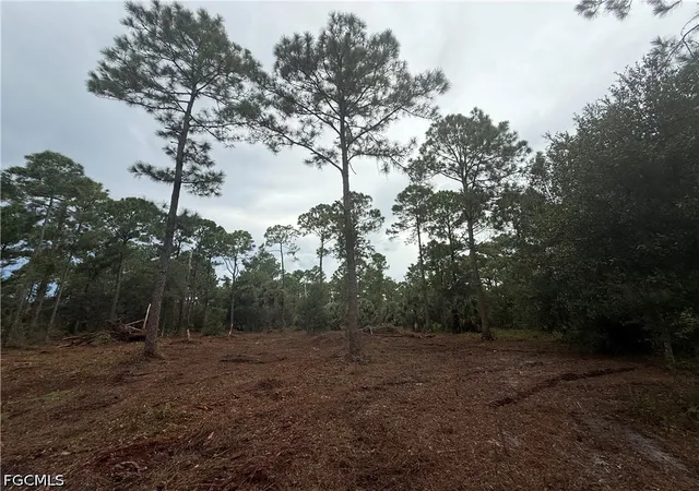 Photo 3 of Land for sale at 250 N Quebrada St, Clewiston, FL 33440 | MLS# 2026039579 | Listing updated on 2026-09-19