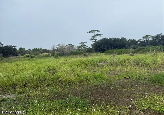 Photo 1 of Land for sale at 1005 Michael Ave, Lehigh Acres, FL 33936 | MLS# 2026039831 | Listing updated on 2026-09-22