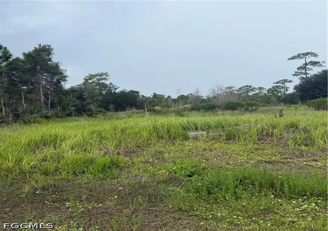 Photo 2 of Land for sale at 1005 Michael Ave, Lehigh Acres, FL 33936 | MLS# 2026039831 | Listing updated on 2026-09-22