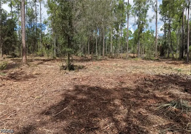 Photo 2 of Land for sale at Pioneer 23rd St, Clewiston, FL 33440 | MLS# 2026039872 | Listing updated on 2026-09-22