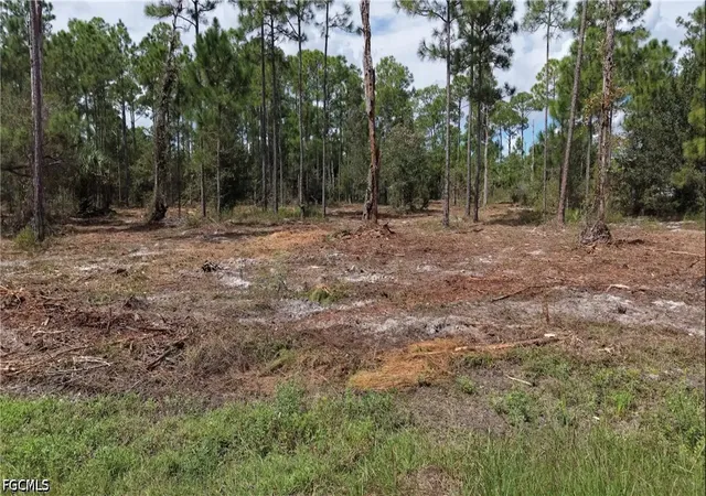 Photo 3 of Land for sale at Pioneer 23rd St, Clewiston, FL 33440 | MLS# 2026039872 | Listing updated on 2026-09-22