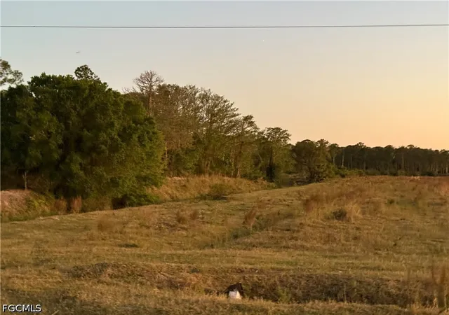 Land for sale at Secretariat Dr, Labelle, FL 33935 | MLS# 2026039933