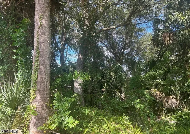 Photo 1 of Land for sale at 15181 Cemetery Rd, Fort Myers, FL 33905 | MLS# 2026042603 | Listing updated on 2026-10-12