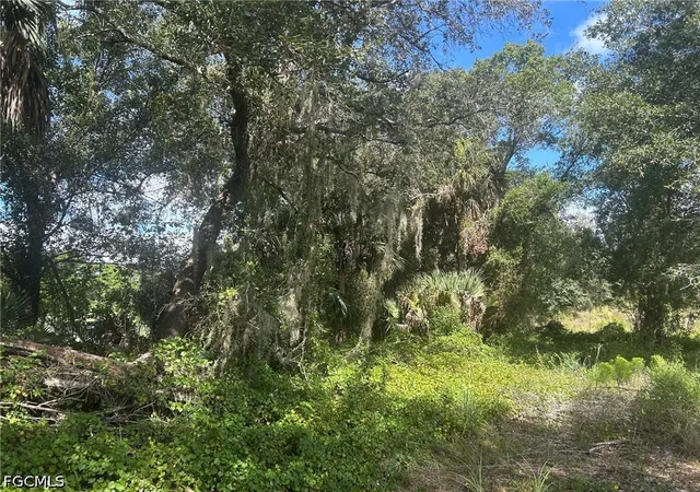Photo 4 of Land for sale at 15181 Cemetery Rd, Fort Myers, FL 33905 | MLS# 2026042603 | Listing updated on 2026-10-12
