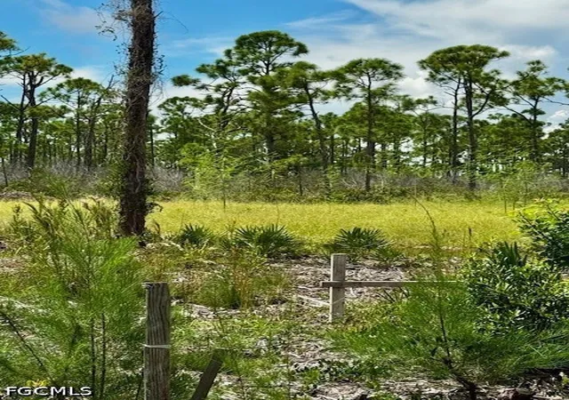 Photo 4 of Land for sale at 3561 Pink Ibis Dr, Saint James City, FL 33956 | MLS# 2026042800 | Listing updated on 2026-10-10
