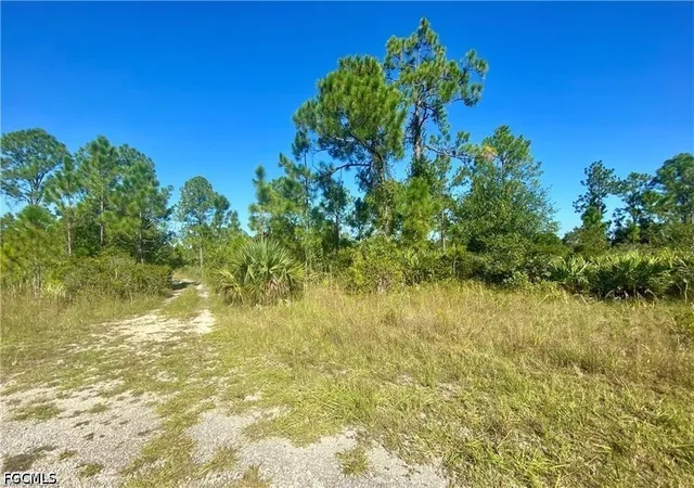 Photo 2 of Land for sale at 2178 Winnetka Dr, Lehigh Acres, FL 33972 | MLS# 2026042936 | Listing updated on 2026-10-13