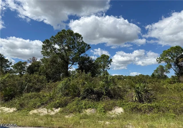 Photo 1 of Land for sale at 1203 Plumosa Ave, Lehigh Acres, FL 33972 | MLS# 2026044330 | Listing updated on 2026-10-21