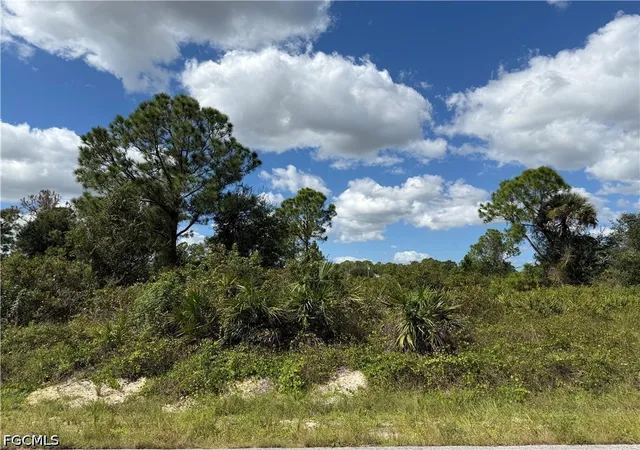 Photo 2 of Land for sale at 1203 Plumosa Ave, Lehigh Acres, FL 33972 | MLS# 2026044330 | Listing updated on 2026-10-21