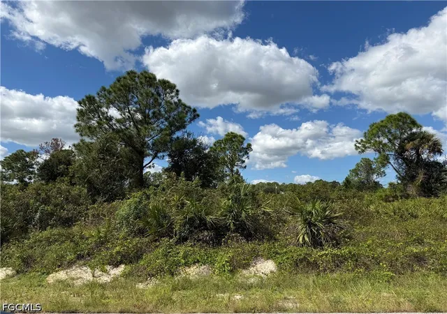 Photo 3 of Land for sale at 1203 Plumosa Ave, Lehigh Acres, FL 33972 | MLS# 2026044330 | Listing updated on 2026-10-21