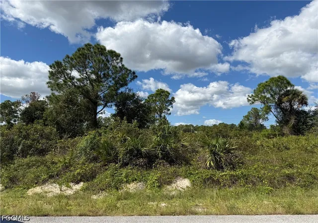 Photo 4 of Land for sale at 1203 Plumosa Ave, Lehigh Acres, FL 33972 | MLS# 2026044330 | Listing updated on 2026-10-21