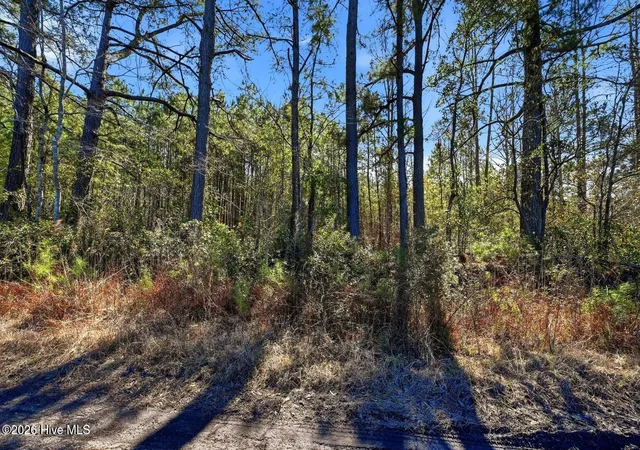 Photo 4 of Land for sale at 15460 Nc Hwy 210, Rocky Point, NC 28457 | MLS# 100600849 | Listing updated on 2026-10-09