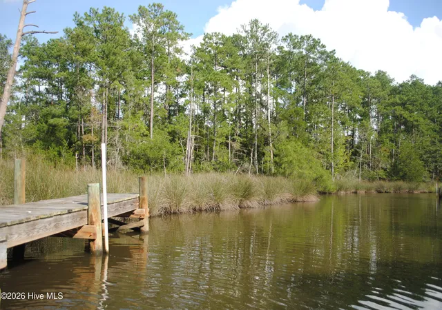 Photo 3 of Land for sale at 1402 Lynchs Beach Loop Rd, Bayboro, NC 28515 | MLS# 100603557 | Listing updated on 2026-09-15
