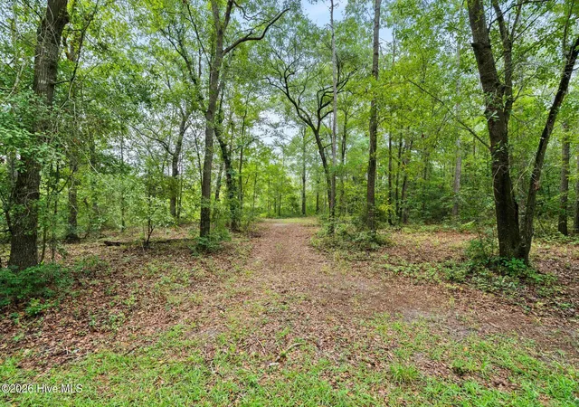 Photo 2 of Land for sale at 167 Falling Water Way, Wallace, NC 28466 | MLS# 100600558 | Listing updated on 2026-09-02