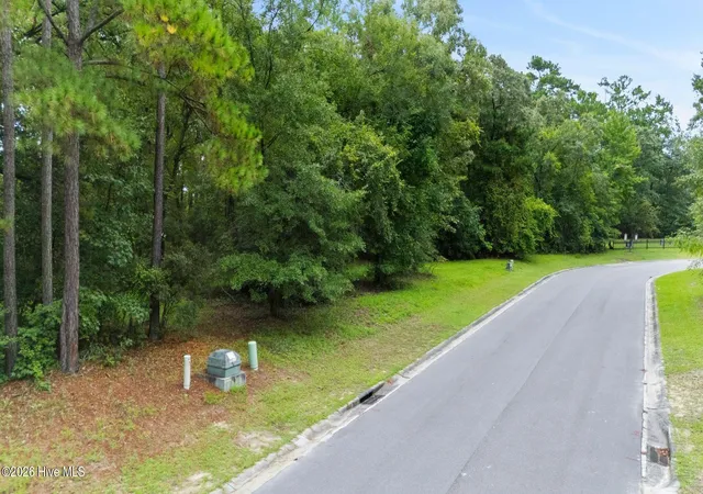 Photo 3 of Land for sale at 167 Falling Water Way, Wallace, NC 28466 | MLS# 100600558 | Listing updated on 2026-09-02