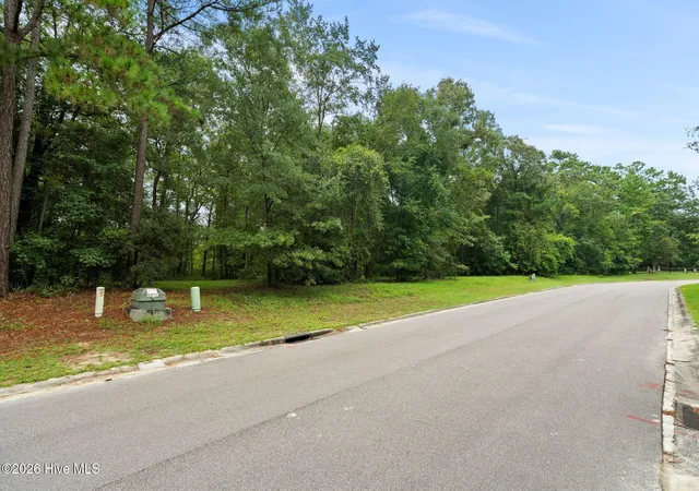 Photo 4 of Land for sale at 167 Falling Water Way, Wallace, NC 28466 | MLS# 100600558 | Listing updated on 2026-09-02