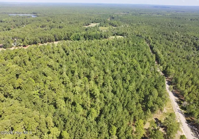 Photo 3 of Land for sale at Trt 8 Peach Orchard Rd, Wagram, NC 28396 | MLS# 100536202 | Listing updated on 2026-09-01
