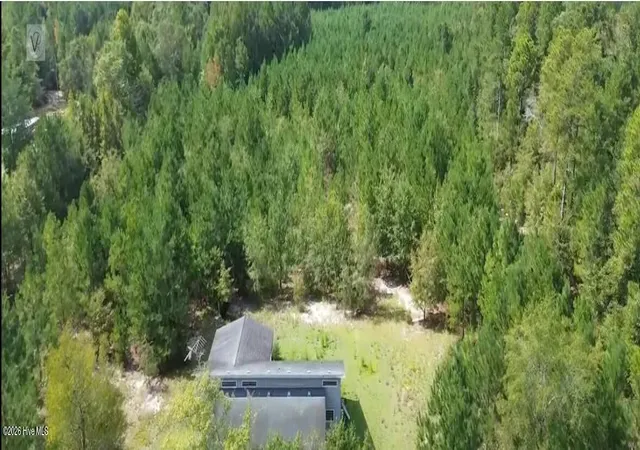 Photo 3 of Land for sale at 16369 Palmer Rd, Marston, NC 28363 | MLS# 100603124 | Listing updated on 2026-09-12