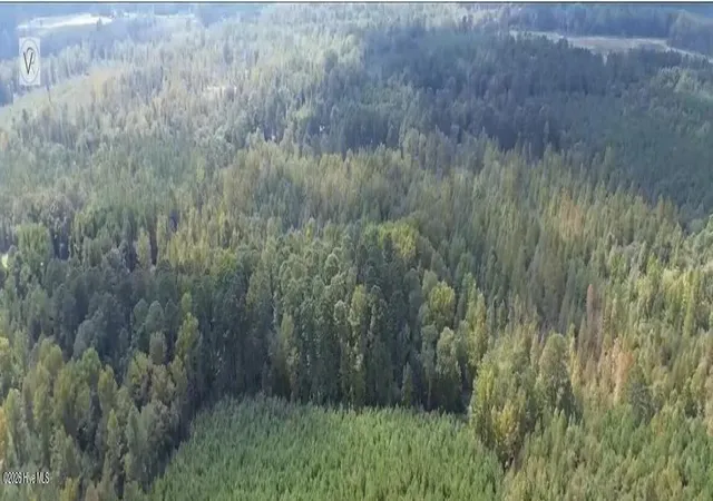 Photo 3 of Land for sale at 16369 Palmer Rd, Marston, NC 28363 | MLS# 100603124 | Listing updated on 2026-09-12