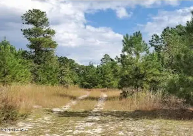 Photo 4 of Land for sale at 16369 Palmer Rd, Marston, NC 28363 | MLS# 100603124 | Listing updated on 2026-09-12