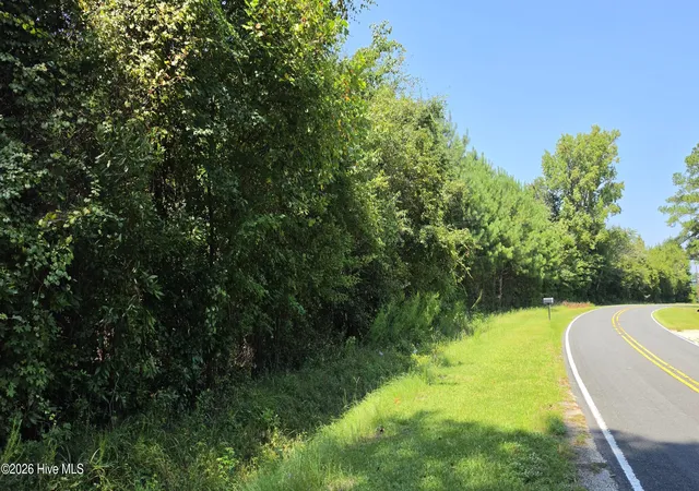 Photo 2 of Land for sale at Near 996 Camp Ground Rd, Whiteville, NC 28472 | MLS# 100600800 | Listing updated on 2026-09-02