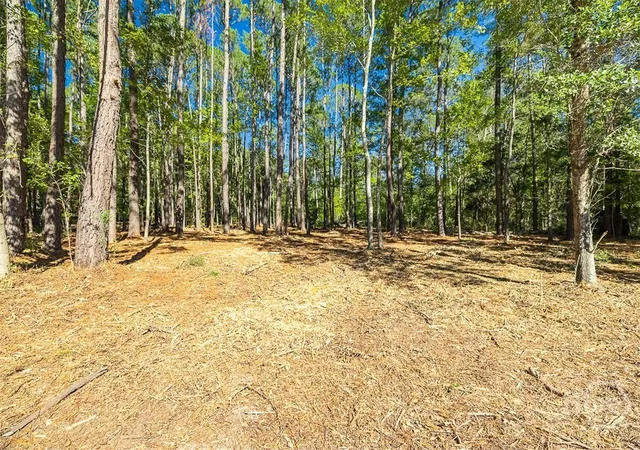 Photo 1 of Land for sale at 5590 Highway 17, Guyton, GA 31312 | MLS# SA366401 | Listing updated on 2026-10-20